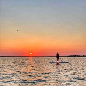 Meet your Posher, Siona